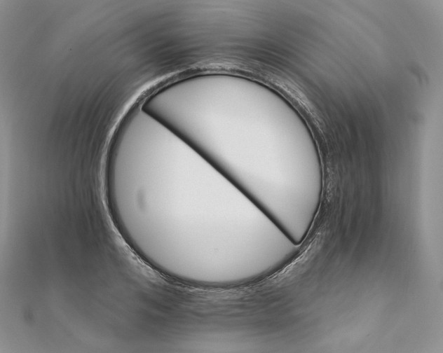 X0000111800984200908061154