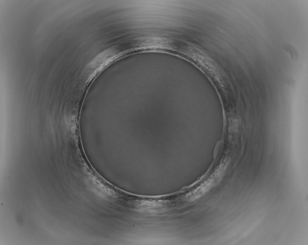 X0000111800985200908061154