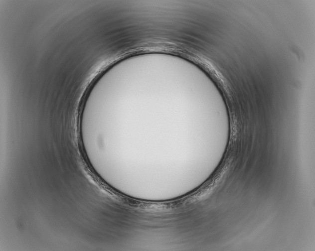 X0000111800986200908061154