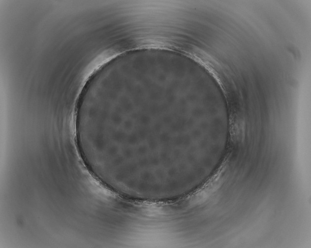 X0000111800987200908061154