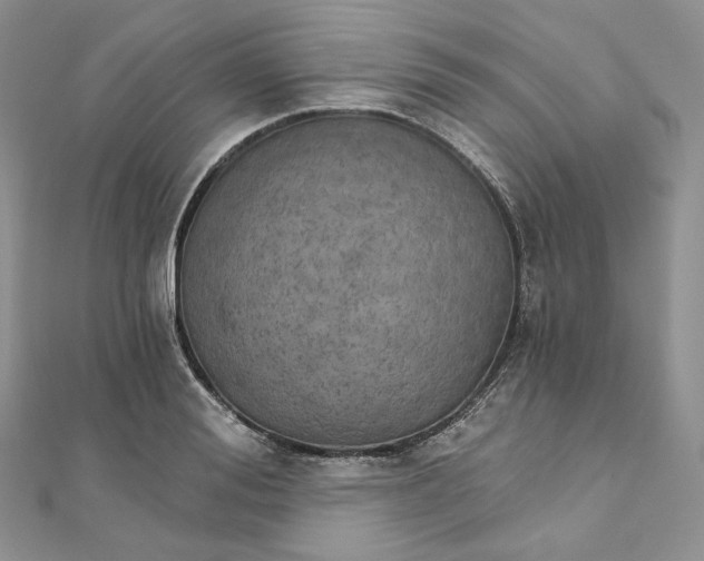 X0000111800988200908061154