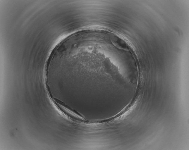 X0000111800989200908061154