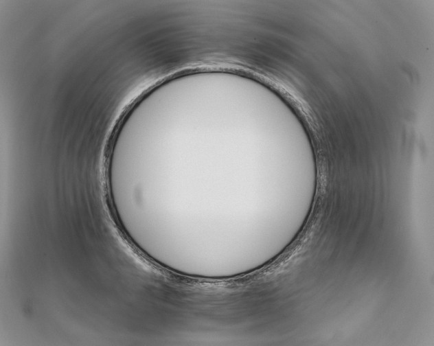 X0000111800990200908061154