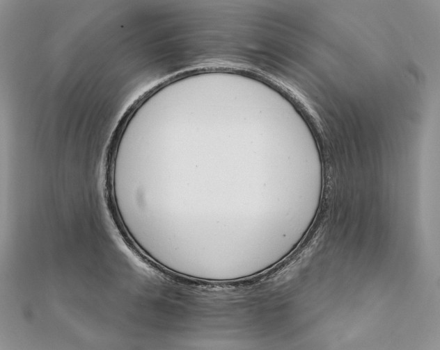 X0000111800991200908061154