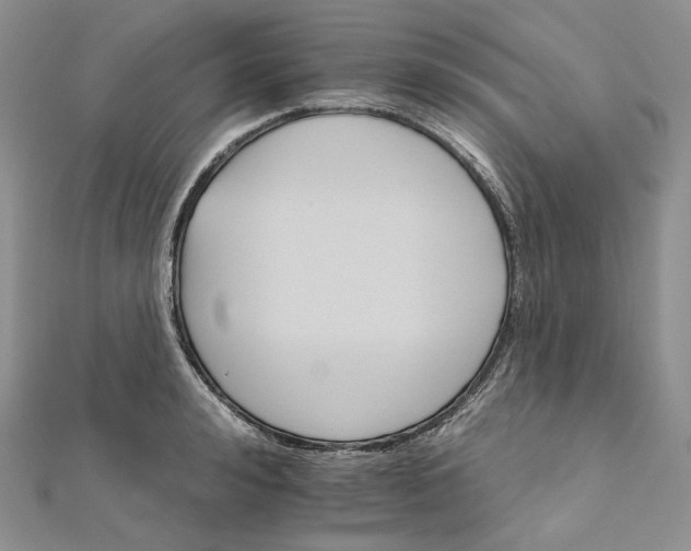 X0000111800992200908061154