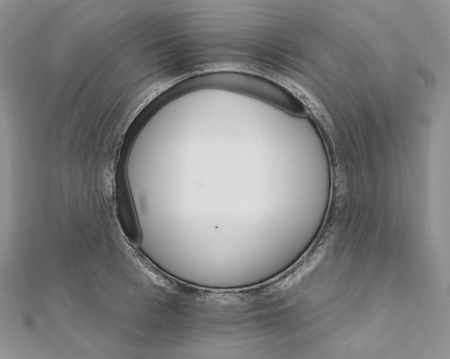 X0000111800993200908061154