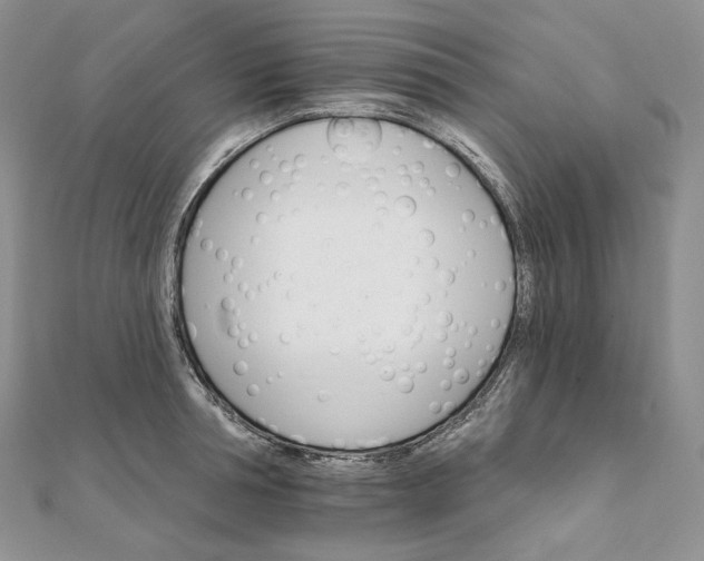 X0000111800994200908061154