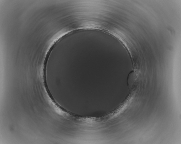 X0000111800995200908061154