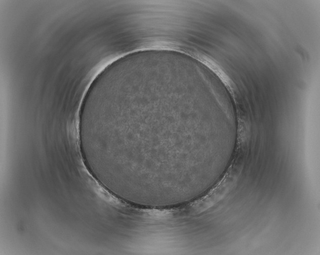 X0000111800996200908061154