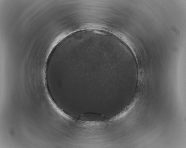 X0000111800997200908061154