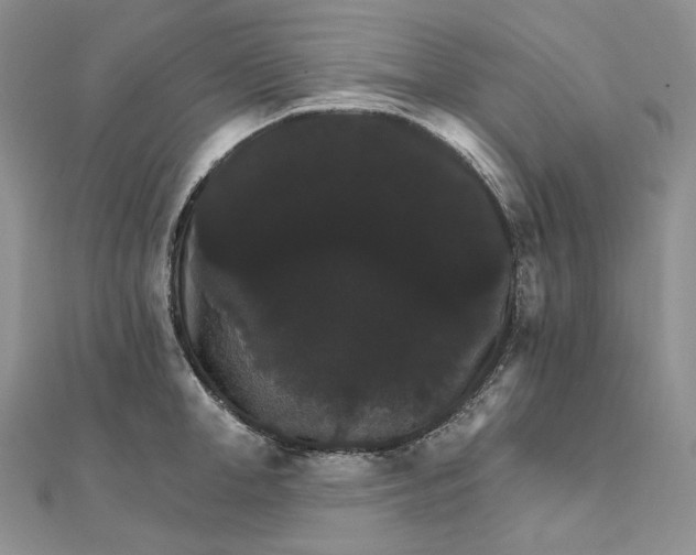 X0000111800998200908061154