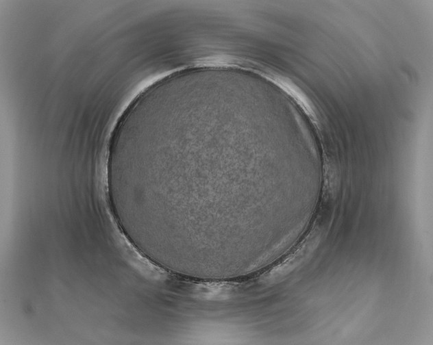 X0000111801000200908061154