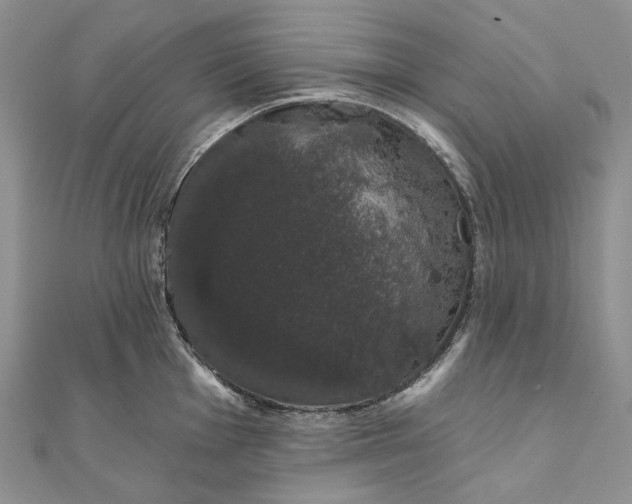 X0000111801001200908061154