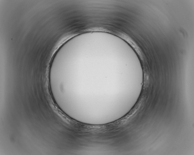 X0000111801002200908061154