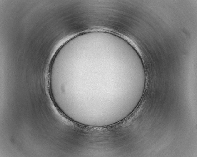 X0000111801003200908061154