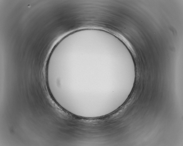 X0000111801004200908061154