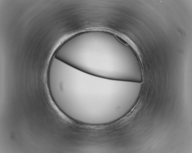 X0000111801005200908061154