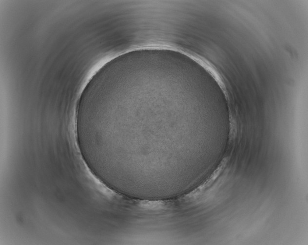 X0000111801006200908061154