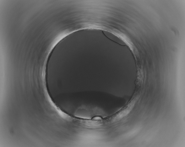 X0000111801007200908061154