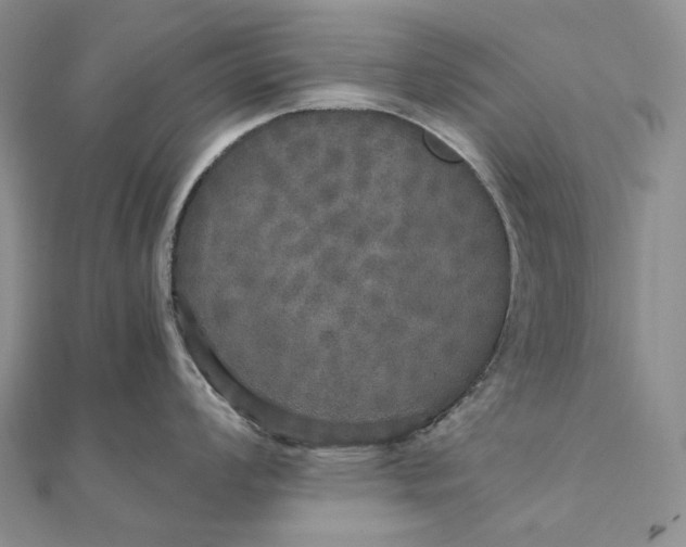 X0000111801008200908061154