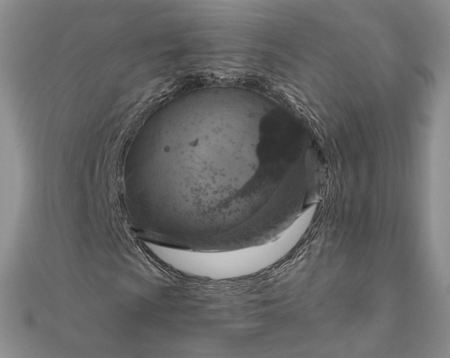 X0000111801009200908061153