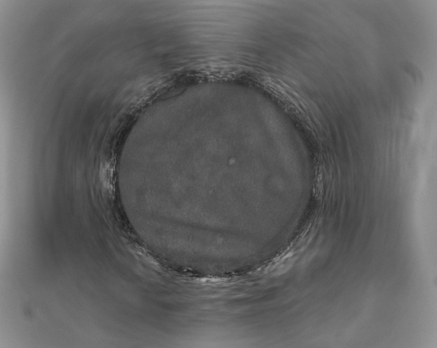 X0000111801010200908061153