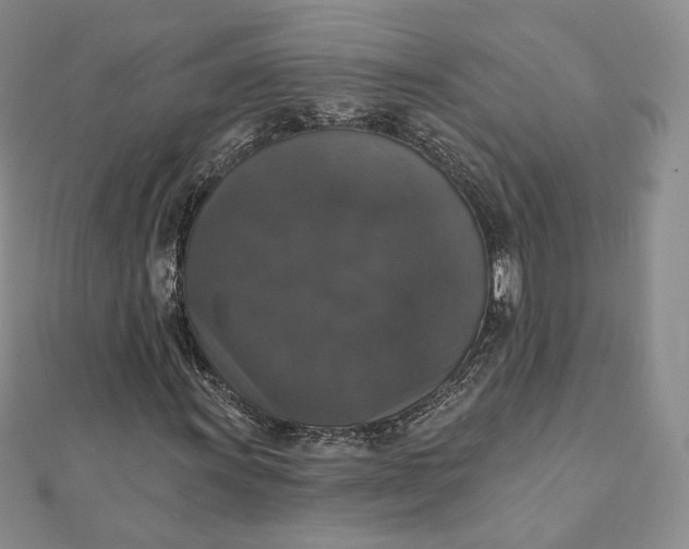 X0000111801011200908061153