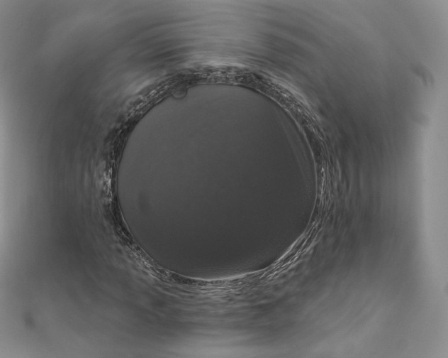 X0000111801013200908061153