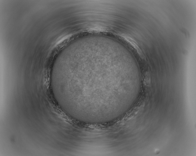 X0000111801015200908061153