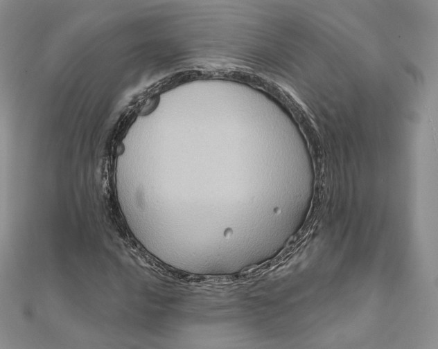 X0000111801016200908061153