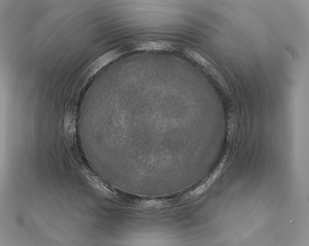 X0000111801017200908061153