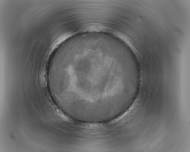 X0000111801018200908061153