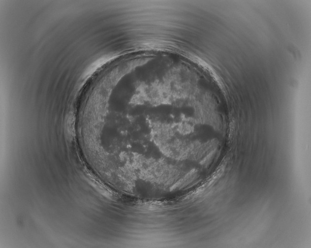 X0000111801019200908061153