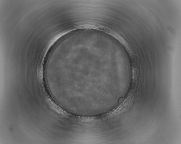 X0000111801020200908061153