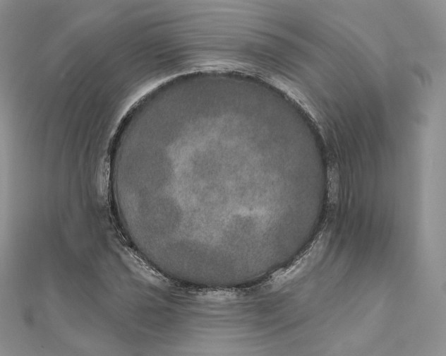 X0000111801021200908061153