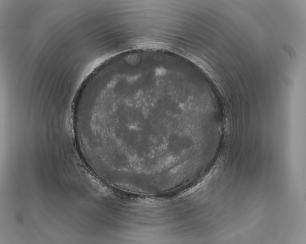 X0000111801022200908061153