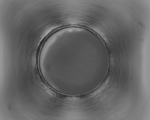 X0000111801023200908061153