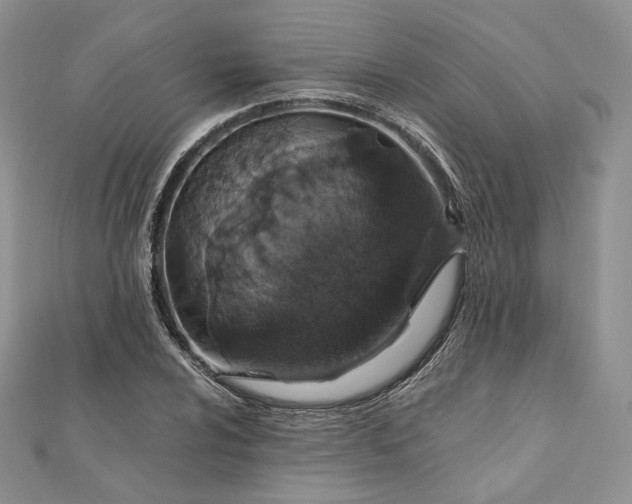 X0000111801024200908061154