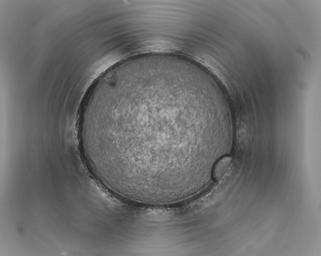 X0000111801026200908061154