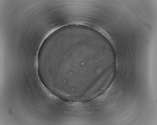 X0000111801028200908061154