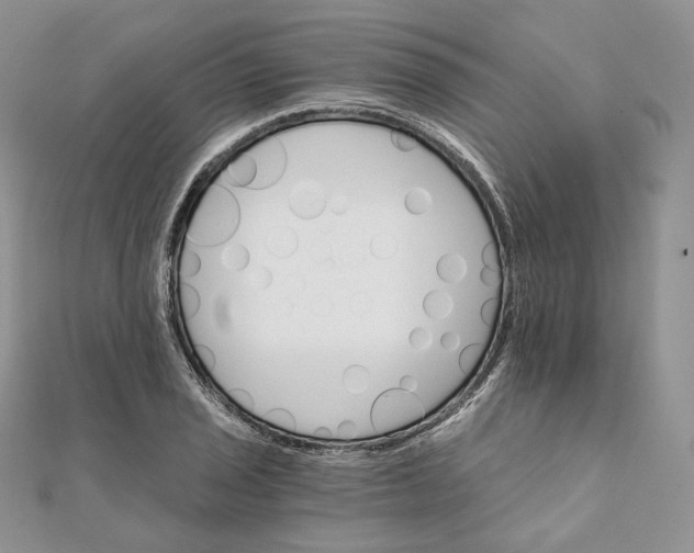 X0000111801029200908061154