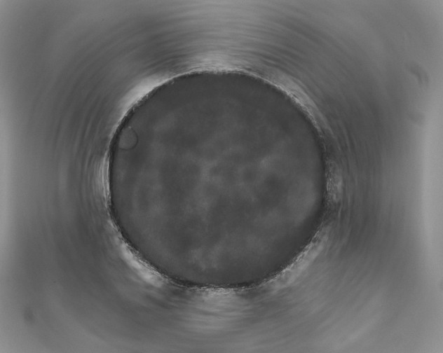 X0000111801030200908061154