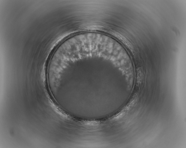 X0000111801031200908061154