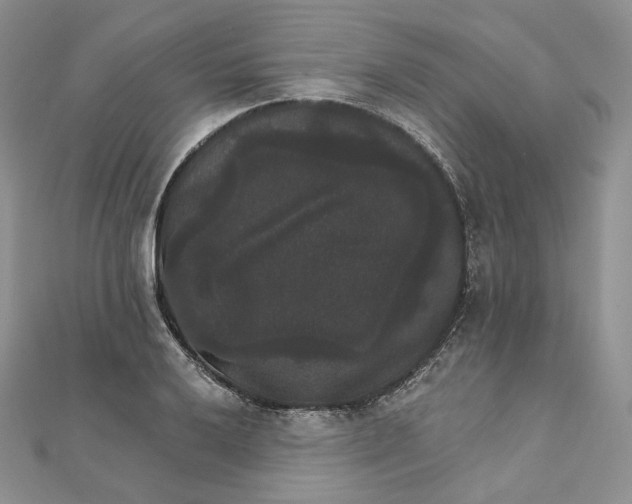 X0000111801032200908061154