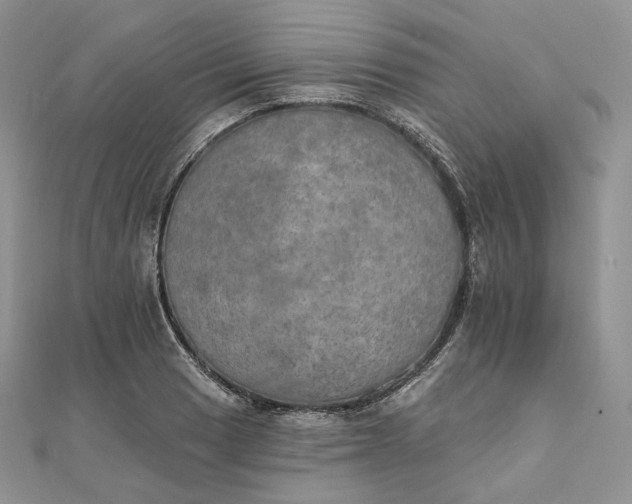 X0000111801033200908061154