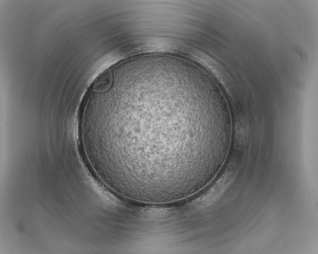 X0000111801034200908061154