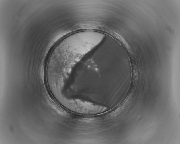 X0000111801035200908061154