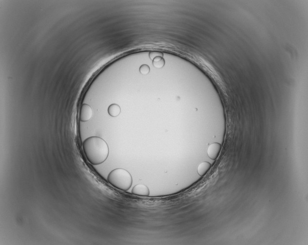 X0000111801036200908061154