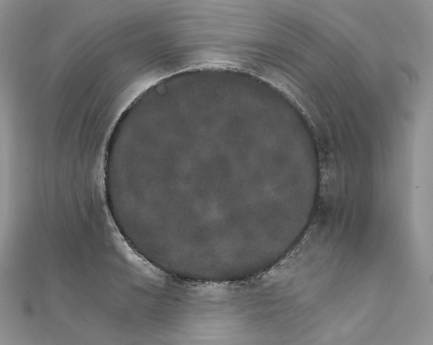 X0000111801038200908061154