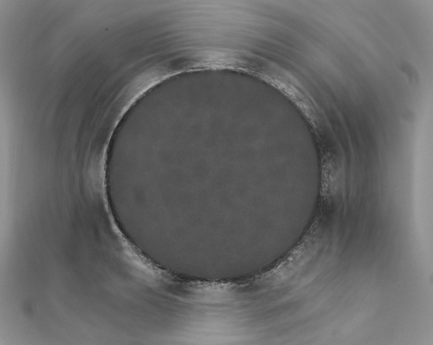 X0000111801039200908061154